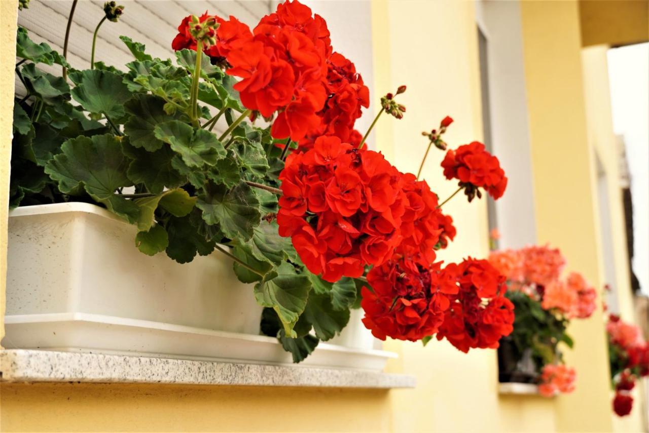 Bed and Breakfast Club Haus 502 Kalocsa Esterno foto