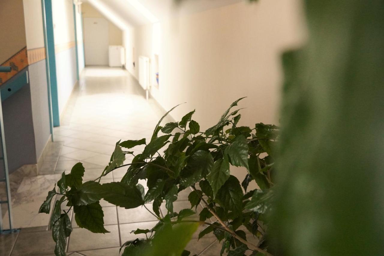 Bed and Breakfast Club Haus 502 Kalocsa Esterno foto