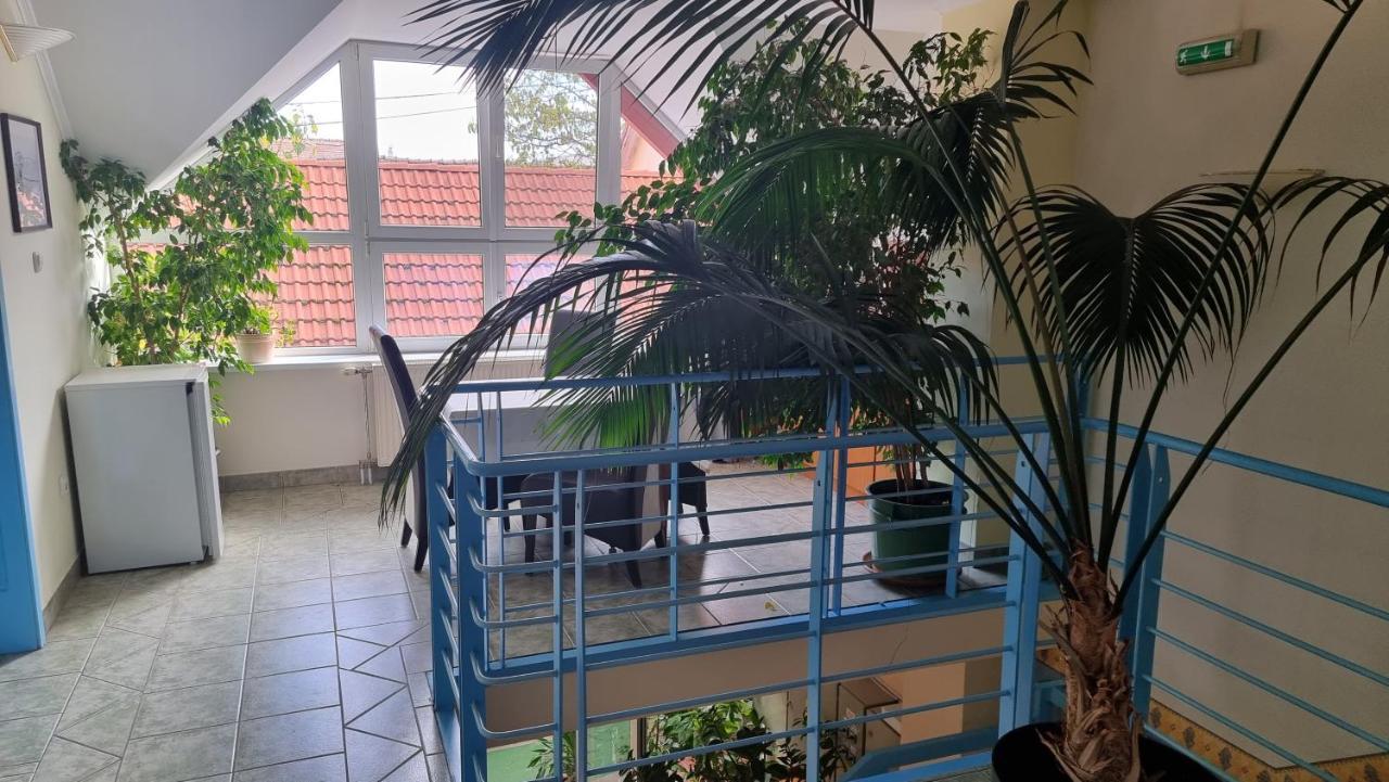 Bed and Breakfast Club Haus 502 Kalocsa Esterno foto
